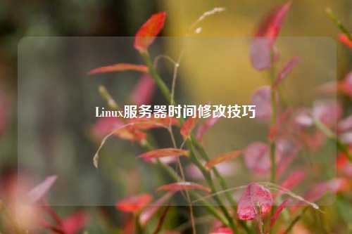 Linux服務(wù)器時(shí)間修改技巧