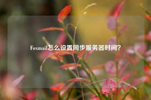 Foxmail怎么設置同步服務(wù)器時(shí)間？