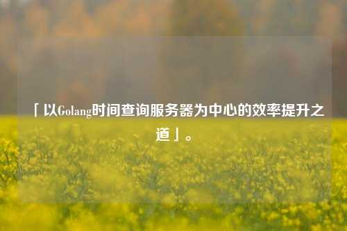 「以Golang時(shí)間查詢(xún)服務(wù)器為中心的效率提升之道」。