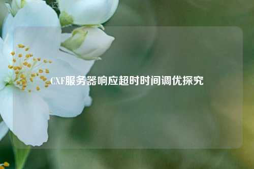 CXF服務(wù)器響應(yīng)超時(shí)時(shí)間調(diào)優(yōu)探究