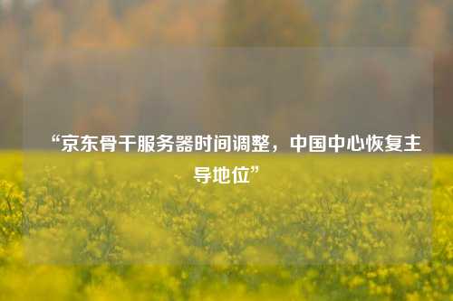 “京東骨干服務(wù)器時(shí)間調整，中國中心恢復主導地位”