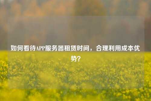 如何看待APP服務(wù)器租賃時(shí)間，合理利用成本優(yōu)勢？