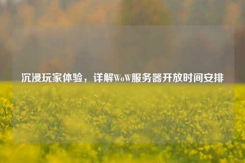 沉浸玩家體驗，詳解WoW服務(wù)器開(kāi)放時(shí)間安排