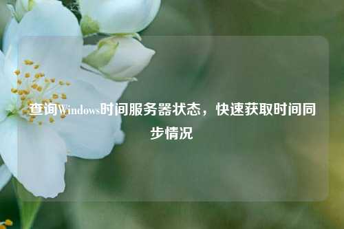 查詢(xún)Windows時(shí)間服務(wù)器狀態(tài)，快速獲取時(shí)間同步情況