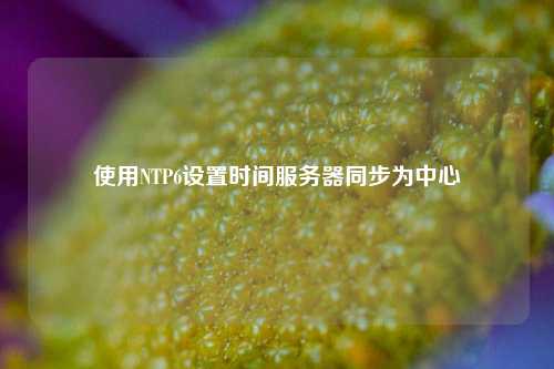 使用NTP6設置時(shí)間服務(wù)器同步為中心