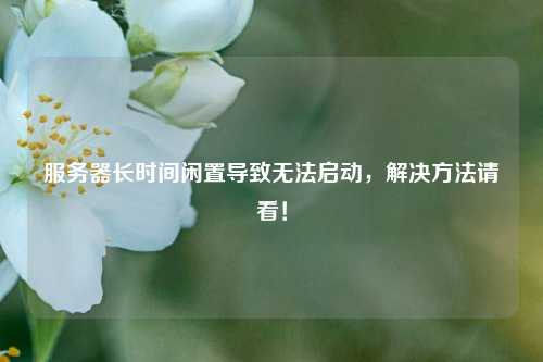 服務(wù)器長(cháng)時(shí)間閑置導致無(wú)法啟動(dòng)，解決方法請看！