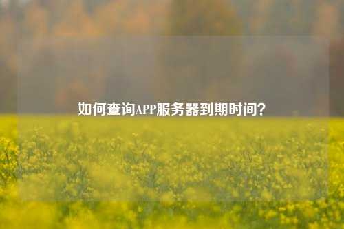 如何查詢(xún)APP服務(wù)器到期時(shí)間？