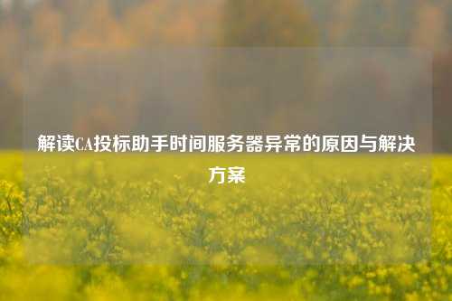 解讀CA投標助手時(shí)間服務(wù)器異常的原因與解決方案