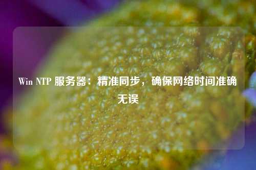 Win NTP 服務(wù)器：精準同步，確保網(wǎng)絡(luò )時(shí)間準確無(wú)誤