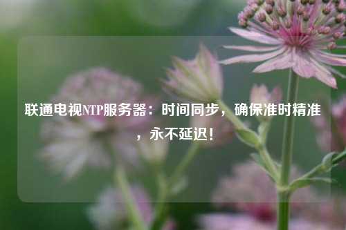 聯(lián)通電視NTP服務(wù)器：時(shí)間同步，確保準時(shí)精準，永不延遲！