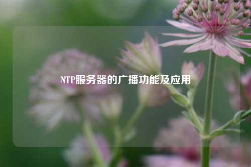 NTP服務(wù)器的廣播功能及應用