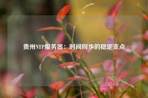 貴州NTP服務(wù)器：時(shí)間同步的穩定支點(diǎn)