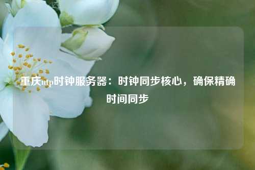 重慶ntp時(shí)鐘服務(wù)器：時(shí)鐘同步核心，確保精確時(shí)間同步