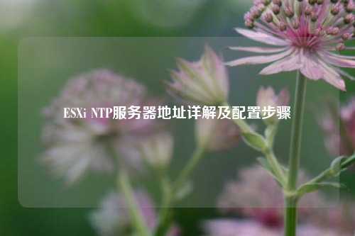 ESXi NTP服務(wù)器地址詳解及配置步驟