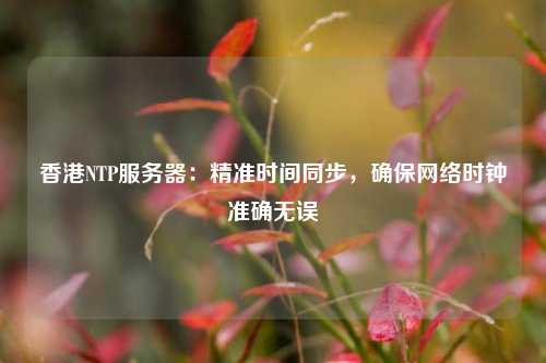 香港NTP服務(wù)器：精準時間同步，確保網(wǎng)絡(luò)時鐘準確無誤