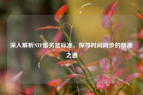 深入解析NTP服務(wù)器標(biāo)準(zhǔn)，探尋時(shí)間同步的精準(zhǔn)之道