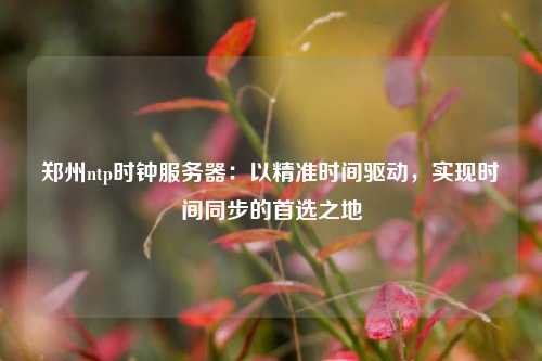 鄭州ntp時(shí)鐘服務(wù)器：以精準(zhǔn)時(shí)間驅(qū)動(dòng)，實(shí)現(xiàn)時(shí)間同步的首選之地
