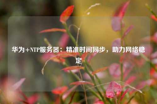 華為+NTP服務器：精準時間同步，助力網(wǎng)絡穩(wěn)定