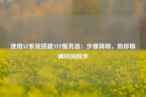 使用XP系統(tǒng)搭建NTP服務(wù)器：步驟簡明，助你精確時間同步